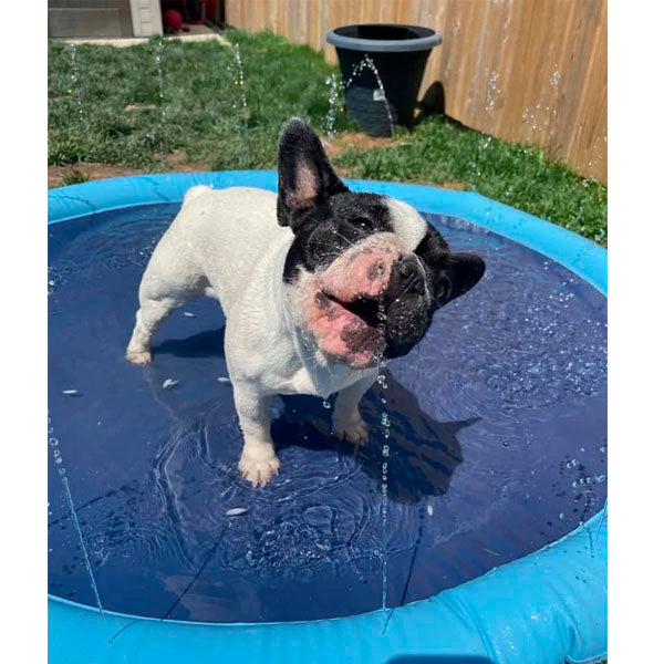🔥 Non-Slip Splash Pad for Kids and Dog