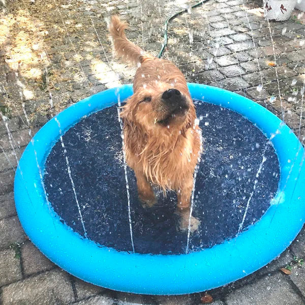 🔥 Non-Slip Splash Pad for Kids and Dog