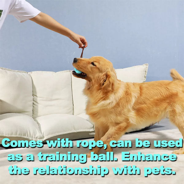 CLEANN™ Pet Chew Toy for Teeth Cleaning