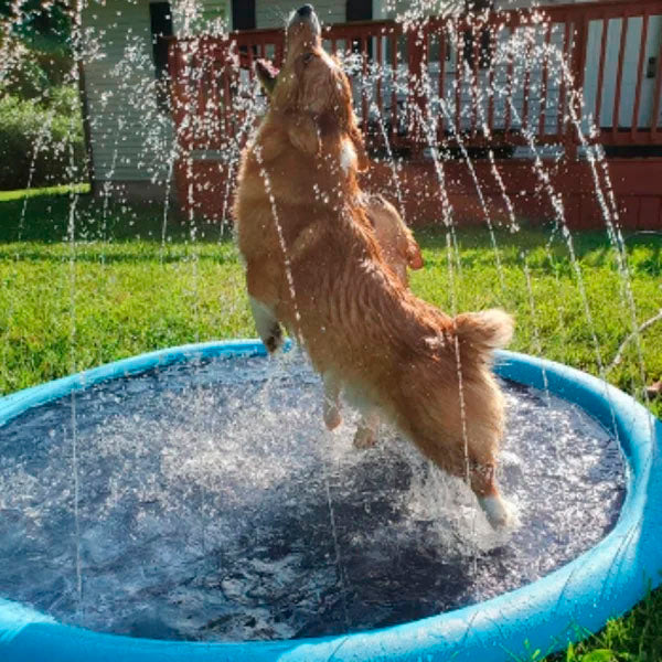 🔥 Non-Slip Splash Pad for Kids and Dog